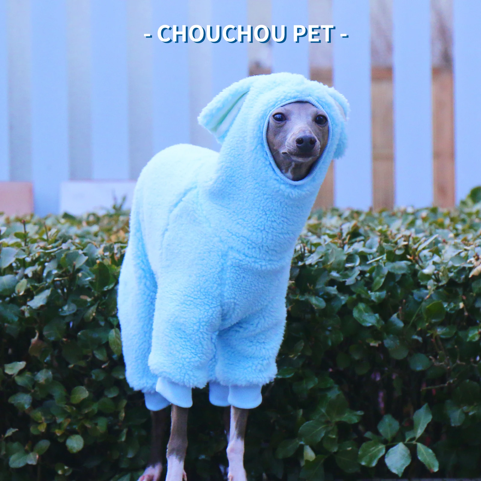 Mono de invierno para galgo italiano visto de frente