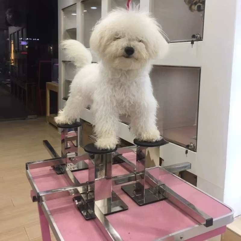 Soporte ajustable de entrenamiento de postura para perros con 4 pilares - imagen 5