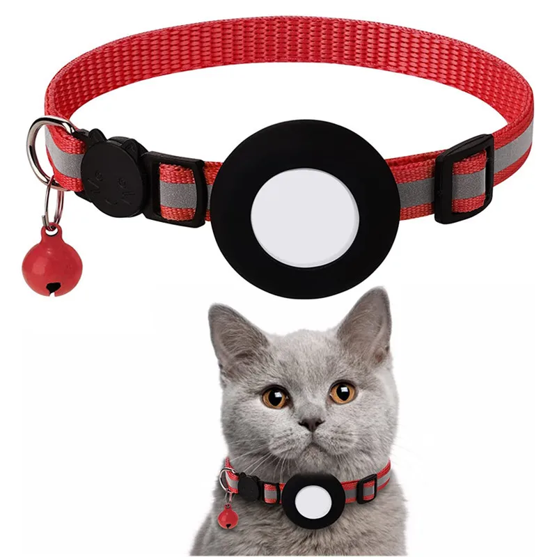 Gato con collar en interior