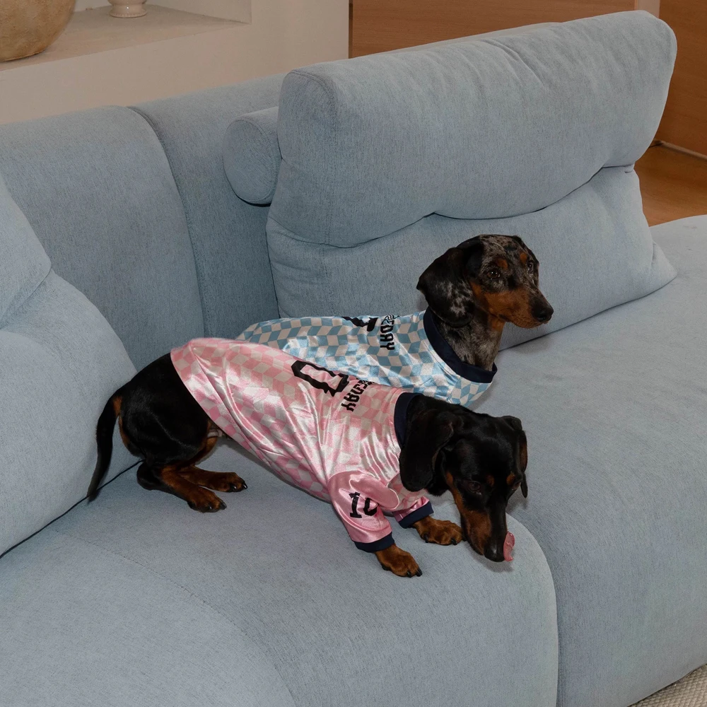 Chaleco transpirable refrescante para perros salchicha Dachshund - imagen 2