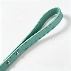 Collar y correa de cuero ancho para Galgo y Whippet antitirones