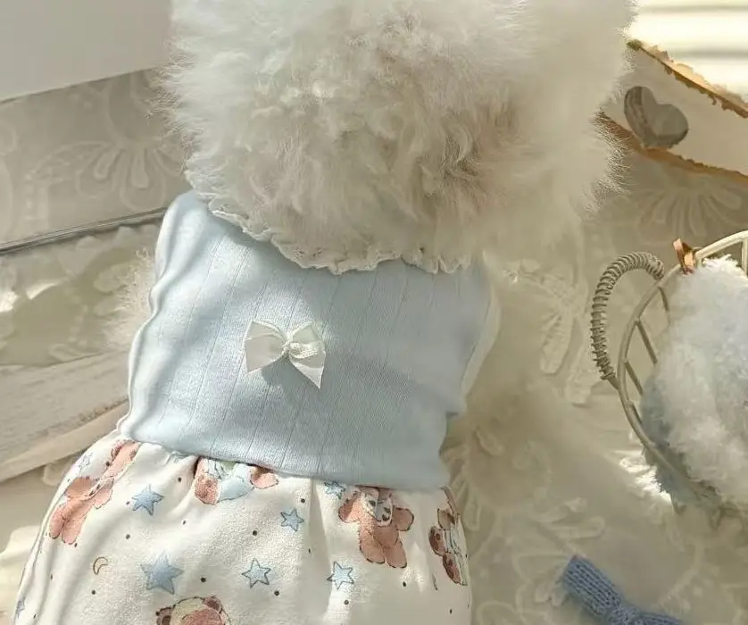 Ropa para cachorros con estilo para otoño