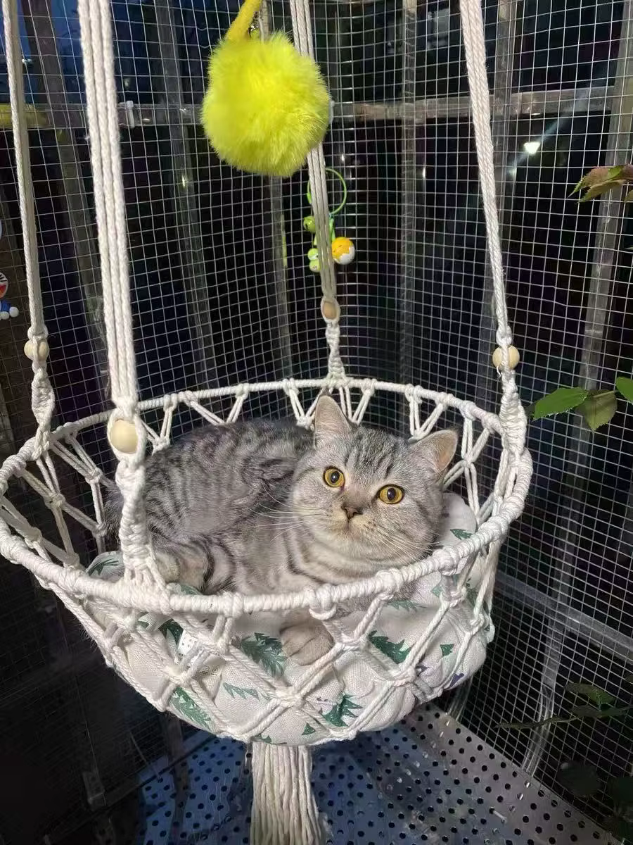 Hamaca colgante para gatos con diseño bohemio