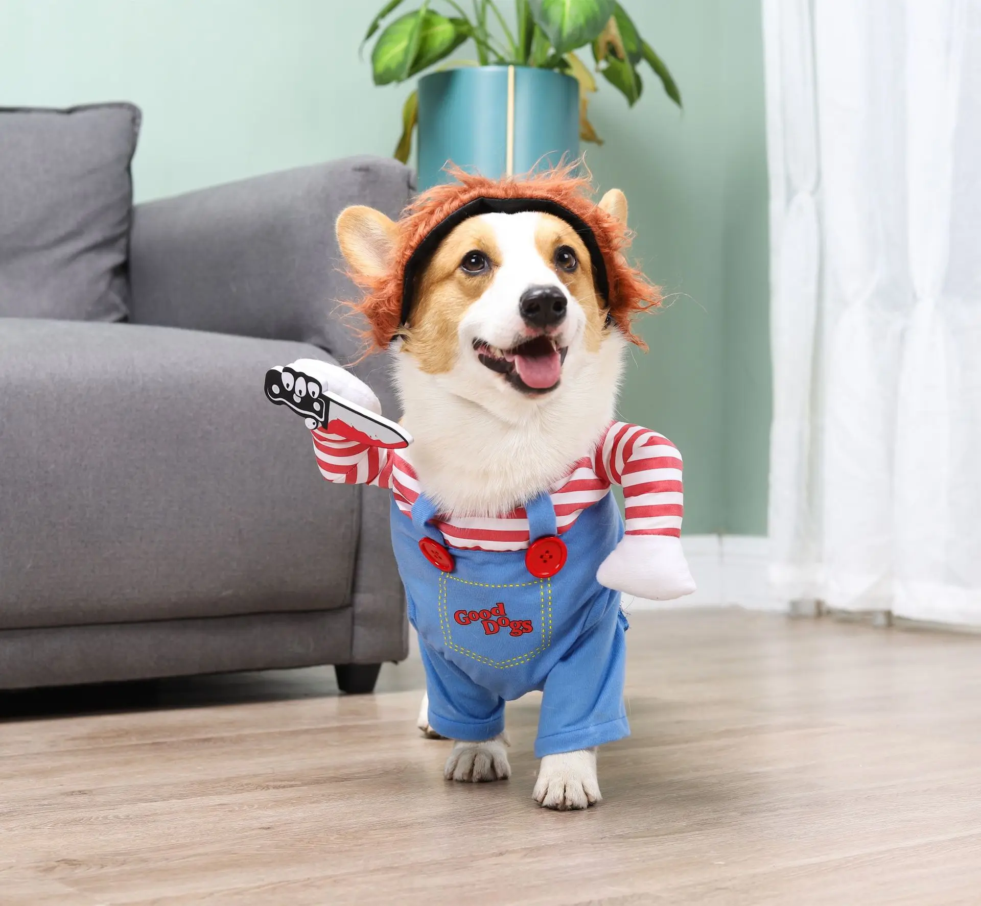 Disfraz de transformación para mascotas Halloween