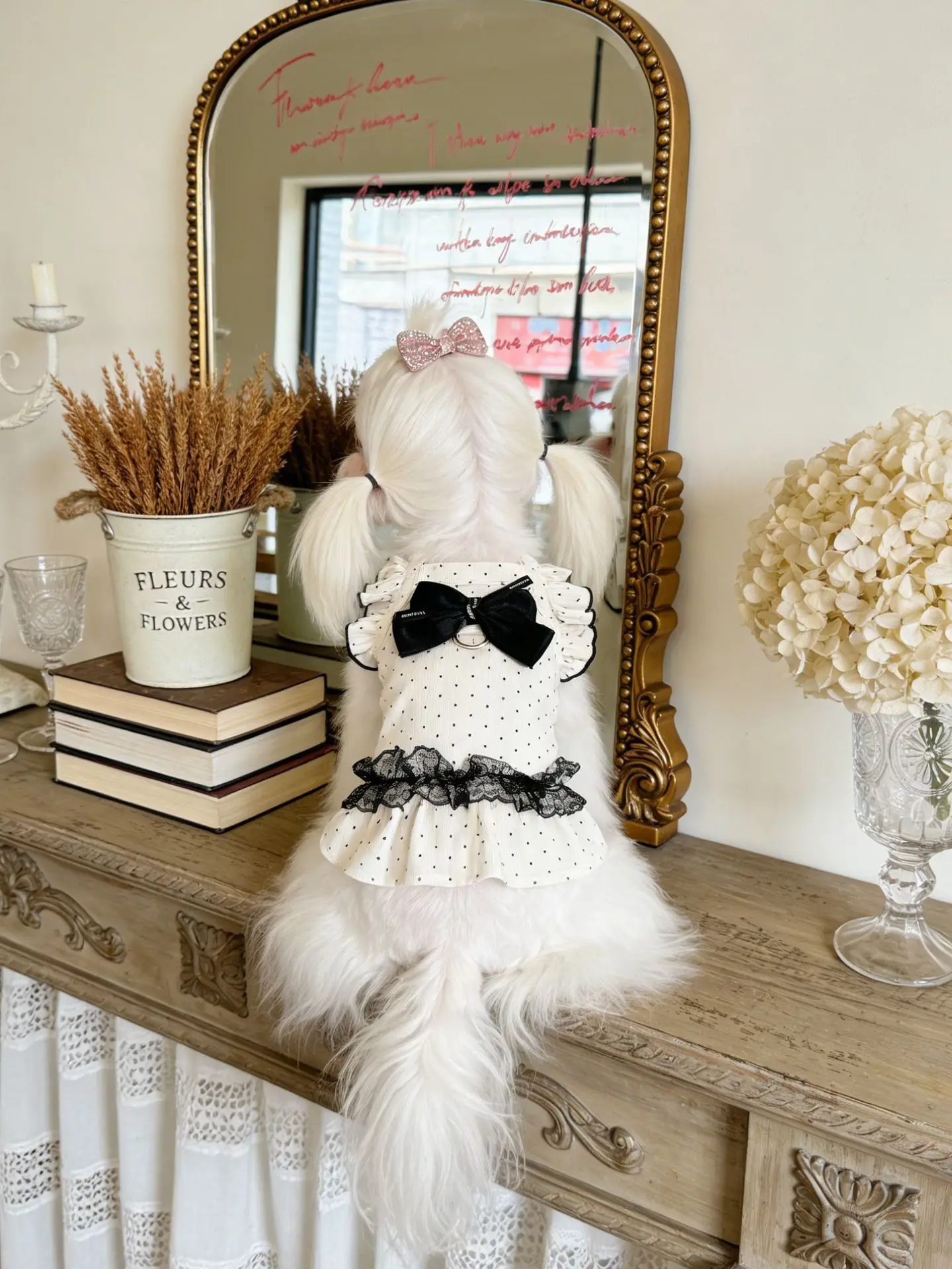 Vestido transpirable con encaje y lazo para perros y gatos Teddy - imagen 4