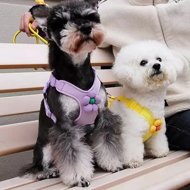 Arnés y correa con flor 3D para perros y gatos – Chaleco ajustable para pasear - imagen 4