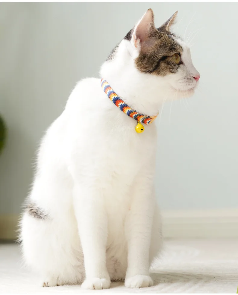 Detalles del collar con hebilla