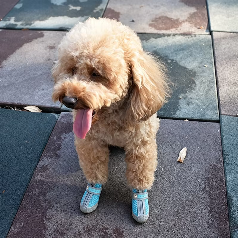 Botas impermeables y antideslizantes para perro, transpirables - imagen 4