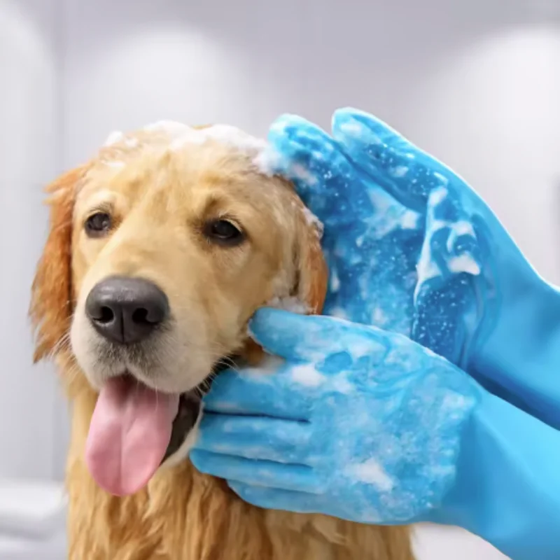 Mascota recibiendo cepillado