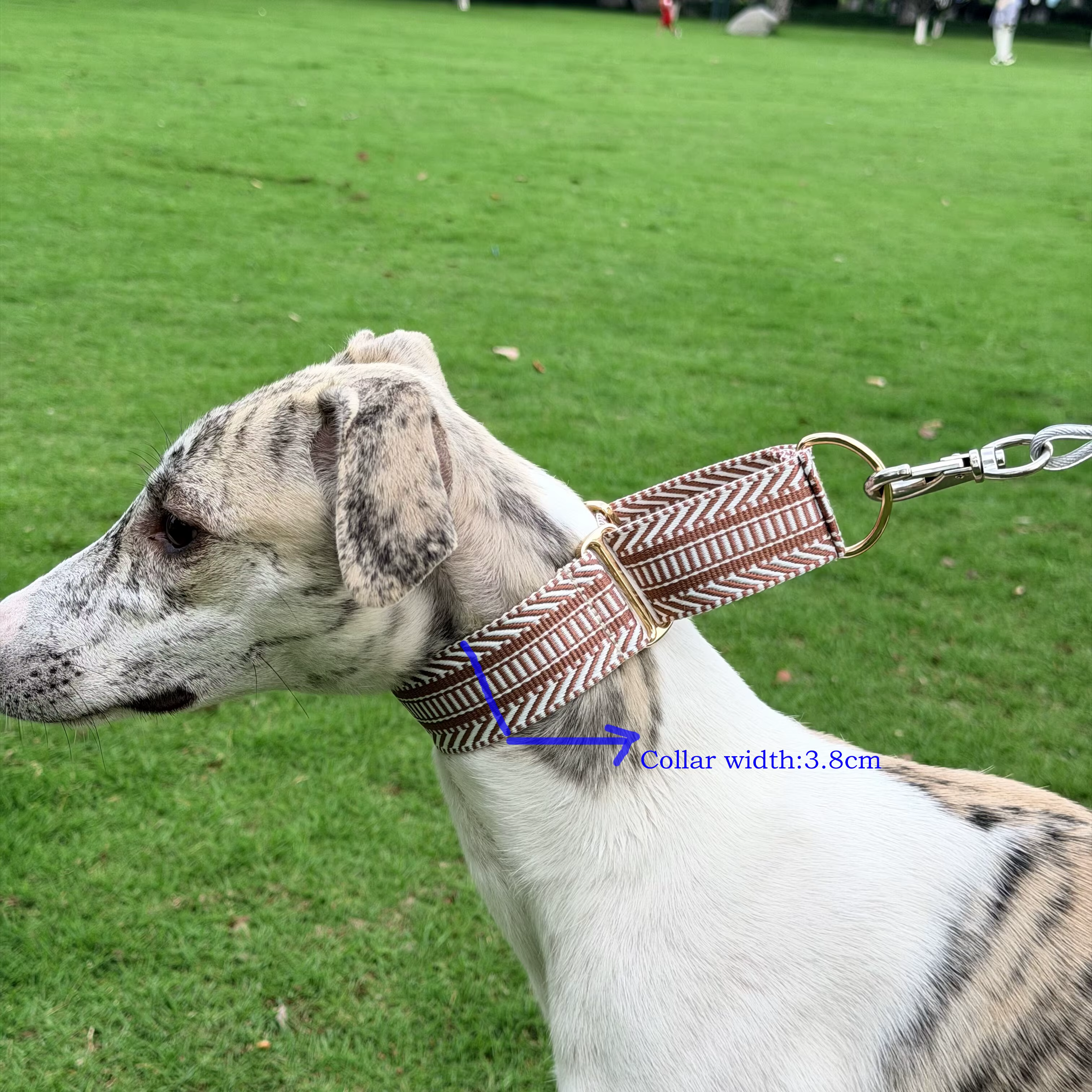 Collar suave ajustable para perros: Whippet y Galgo, seguro - imagen 5