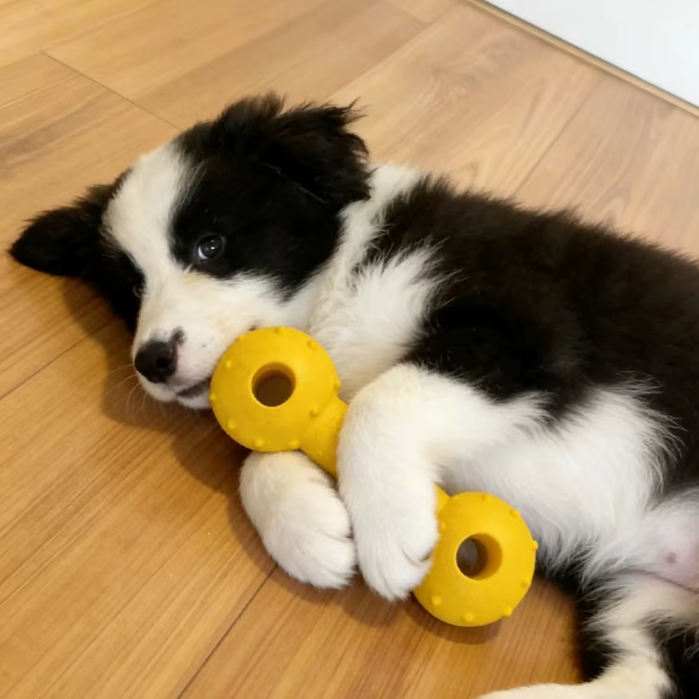 Juguete masticable duradero para perros: seguro y fácil de limpiar - imagen 3