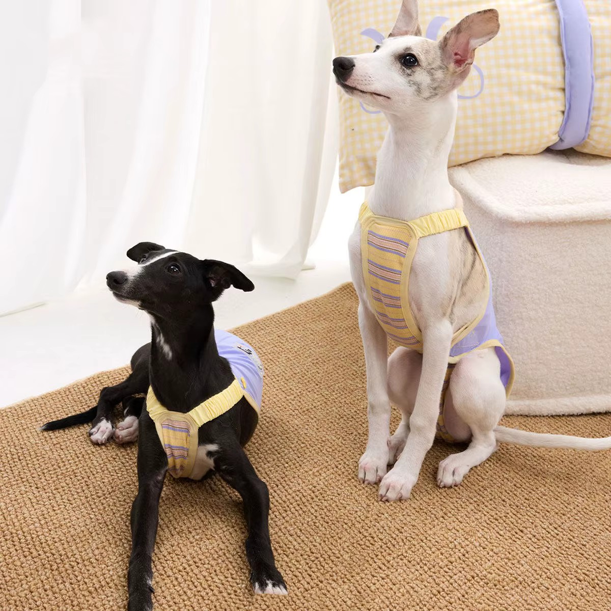 Chaleco refrescante UPF50+ para galgo italiano – tejido antibacteriano - imagen 4
