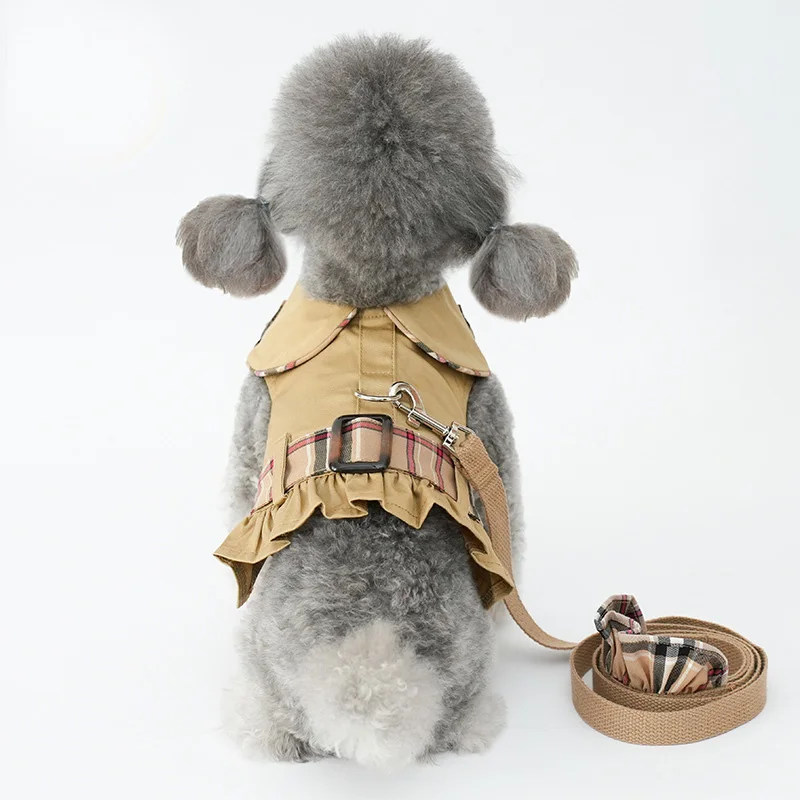 Suministros para perros maltés