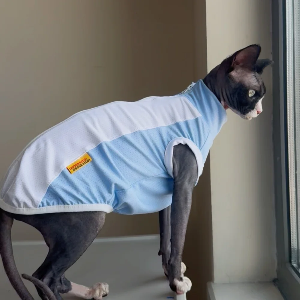 Chaleco transpirable UV de malla azul para Sphynx y perros mini - imagen 4