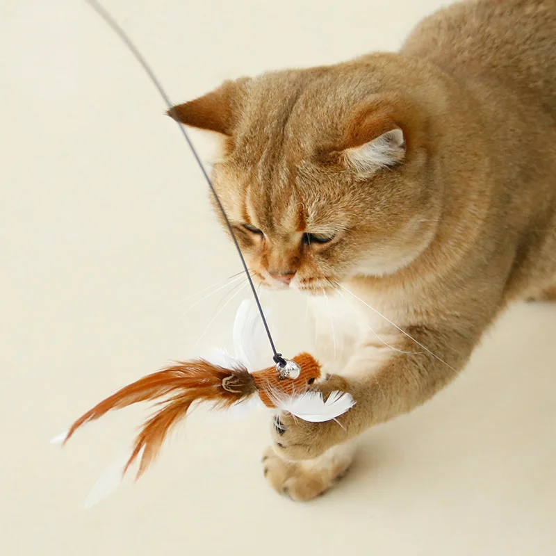 Varita para gatos con forma de pájaro y plumas