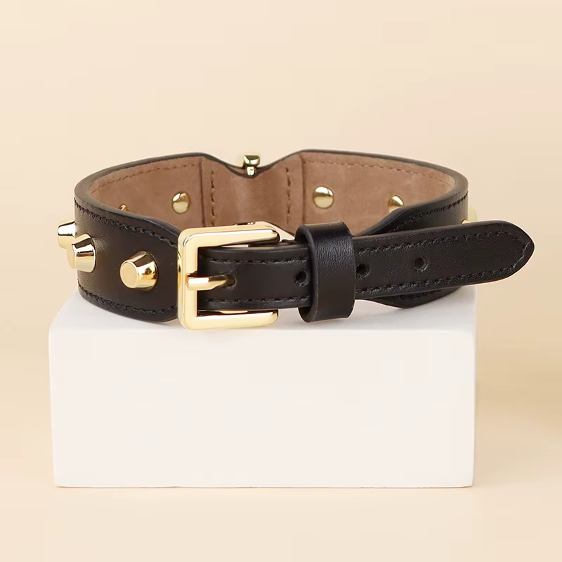 Collar ajustable para perros pequeños y medianos