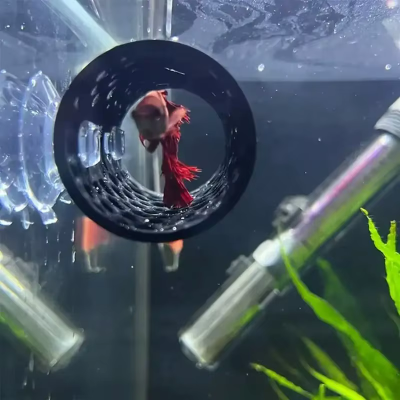 Túnel juguete peces Betta: cuevas y escondites para acuario - imagen 3