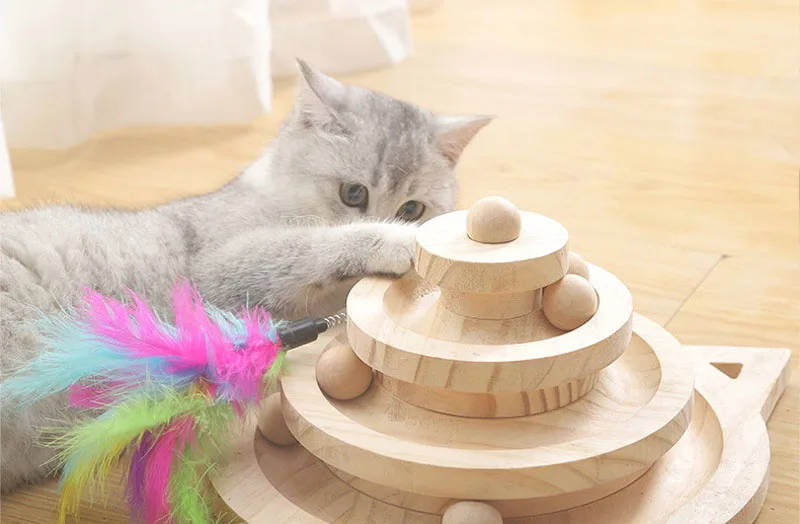 Gato jugando con la torre de madera y bolas