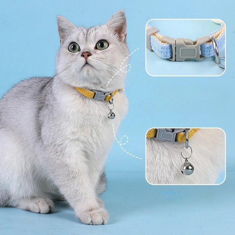 Collar con ajuste seguro para perros pequeños