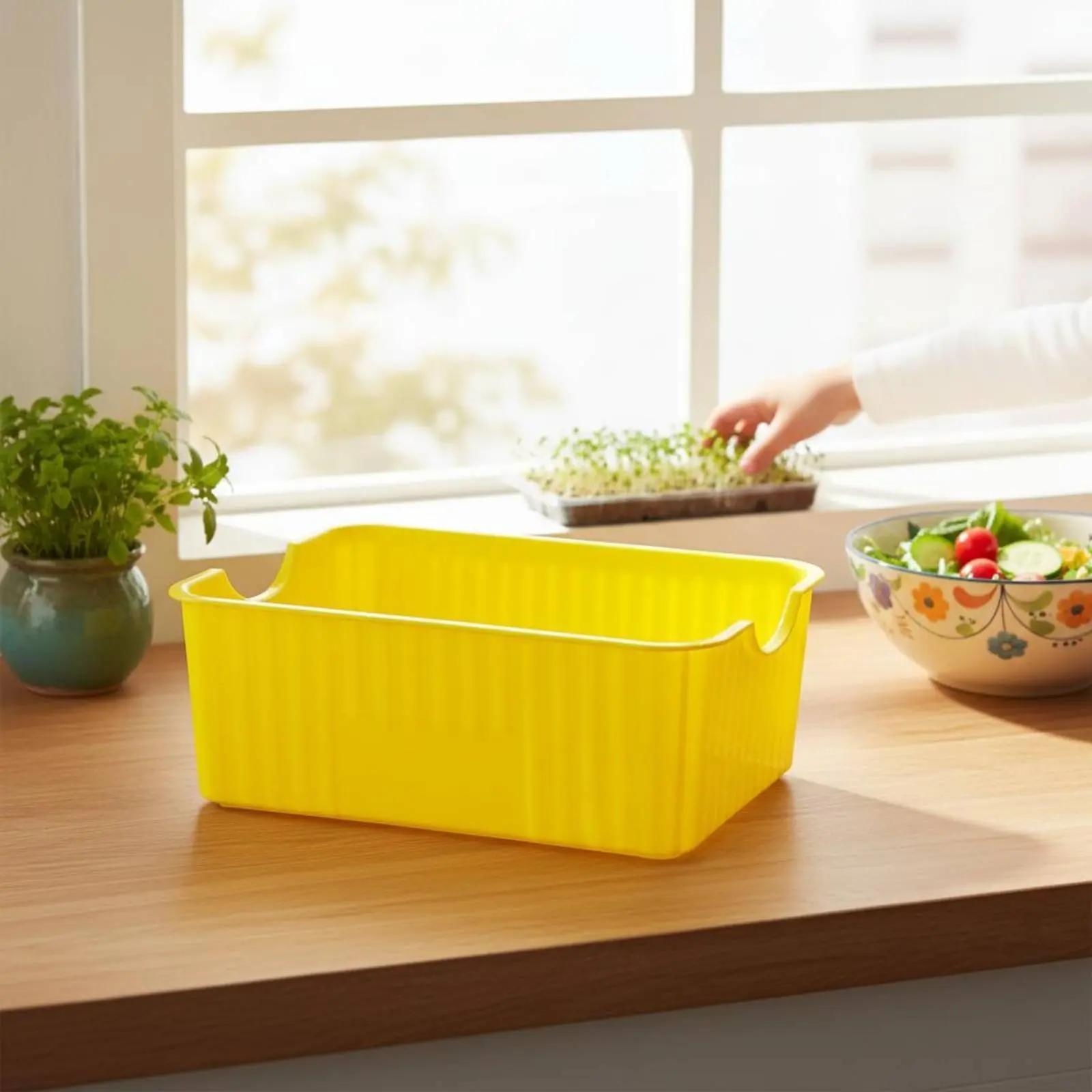 Germinador sin tierra para gatos: caja brotes frijol doble nivel - imagen 2