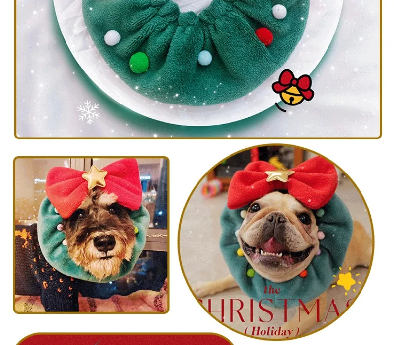 Sesión de fotos con mascota vestida