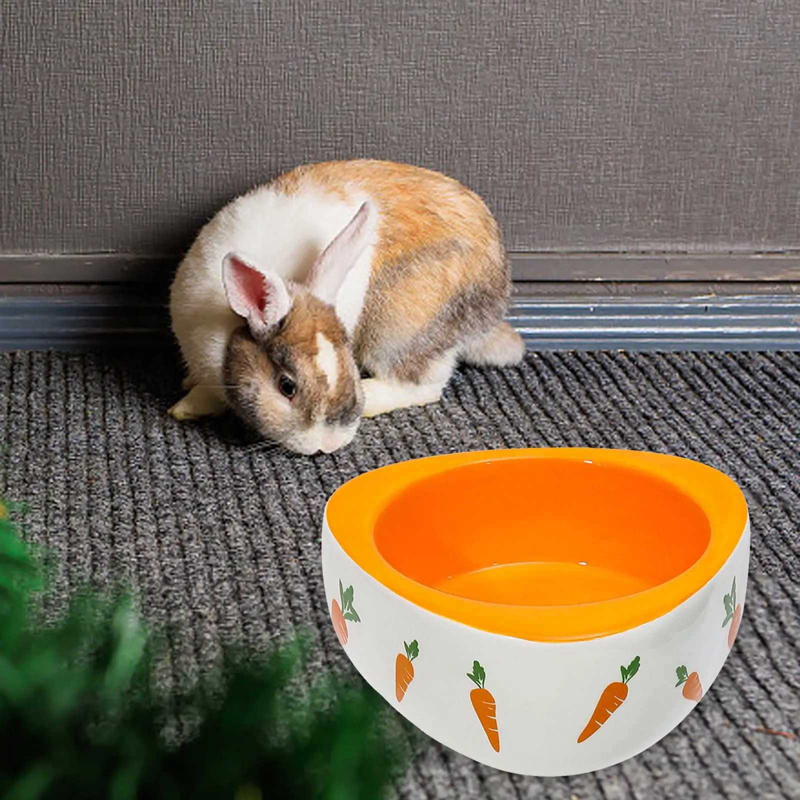 Cuenco de cerámica con patrón de zanahoria para mascotas
