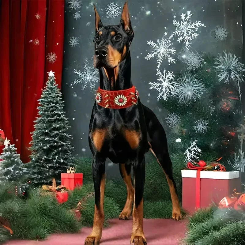 Detalle del cierre del collar para mascotas