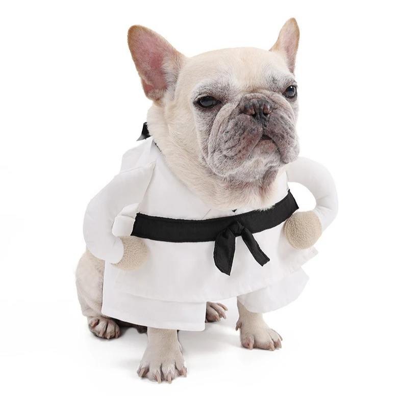Ropa creativa para perros en acción