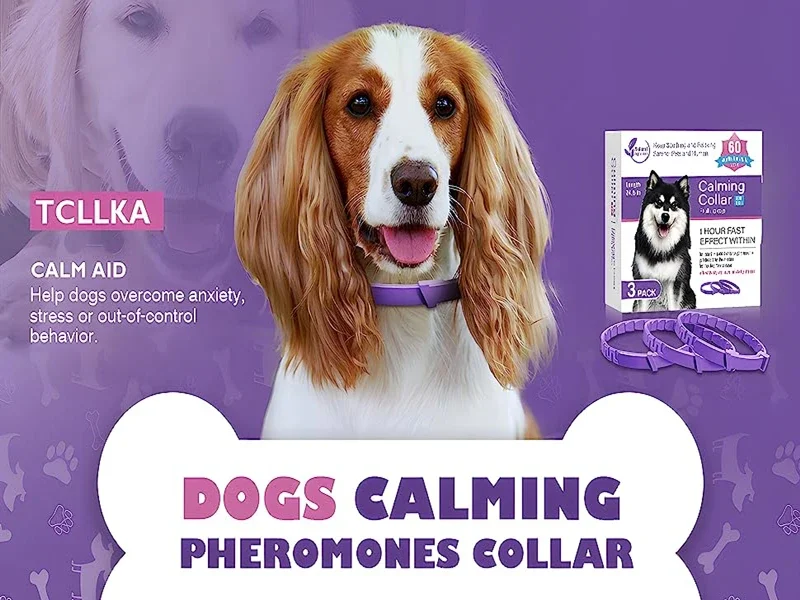 Collar calmante para perro con esencia natural