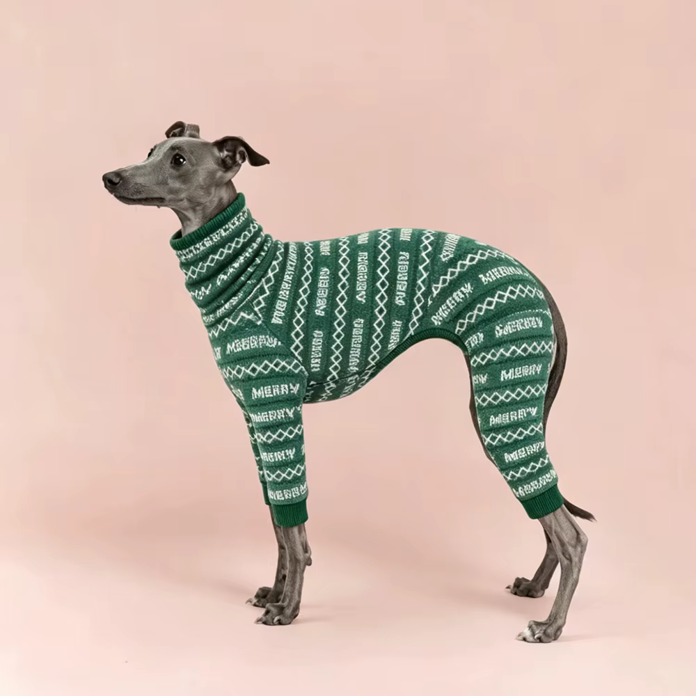 Abrigo cortavientos para Italian Greyhound y Whippet - imagen 5