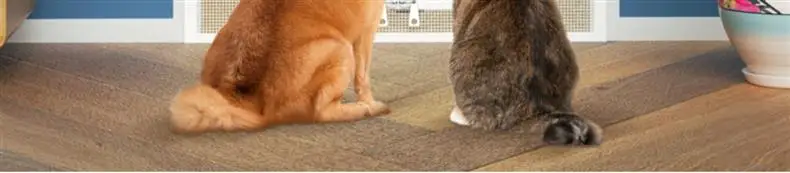 Cortina de puerta a prueba de gato en uso interior mostrando malla y marco