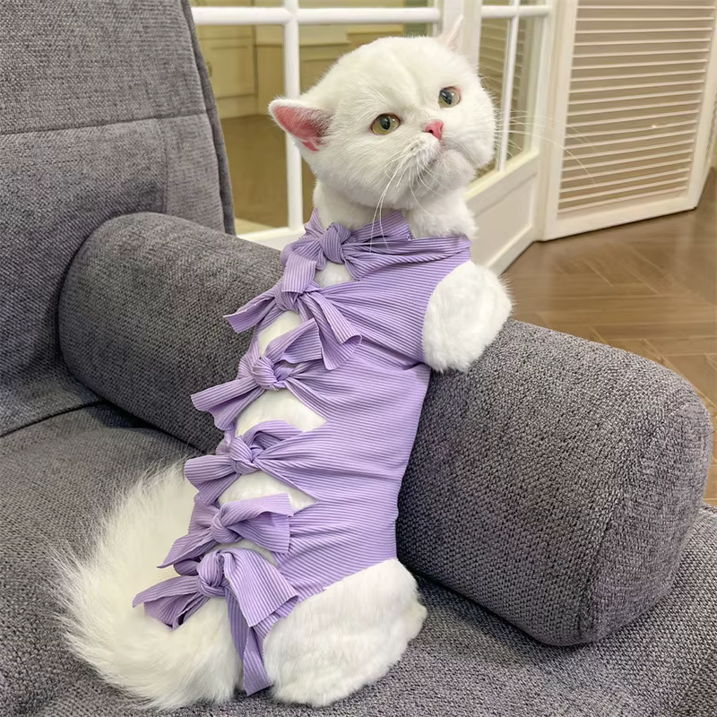 Traje de recuperación para gatos postcirugía: heridas, collar y cono - imagen 2