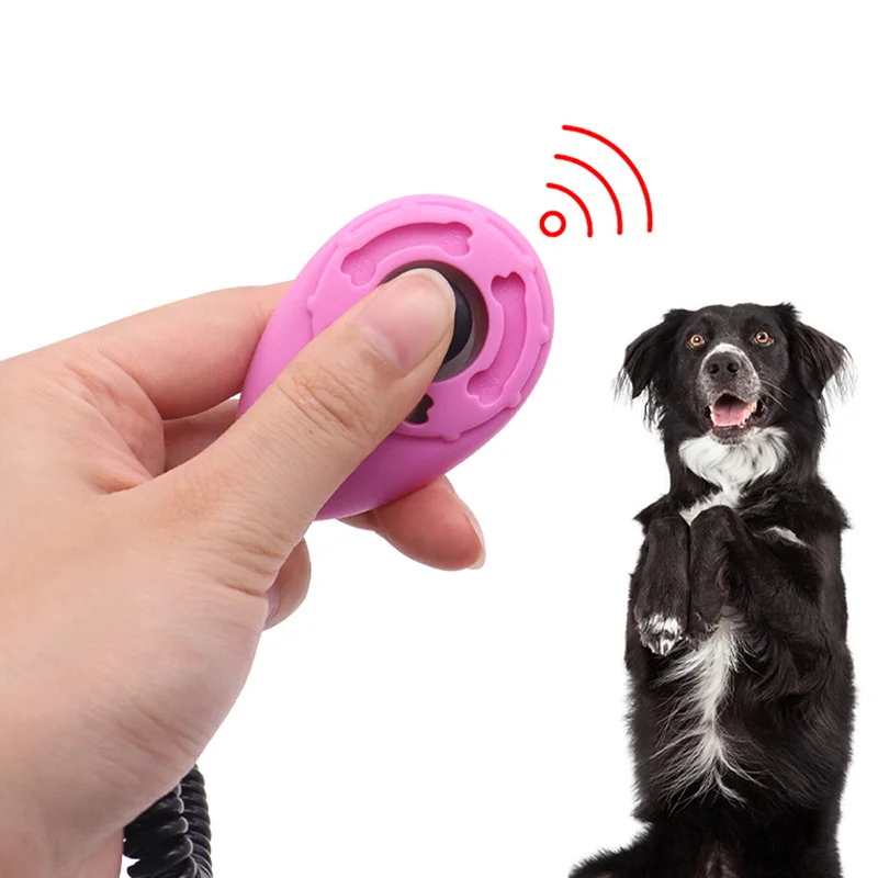 Uso del clicker durante un paseo