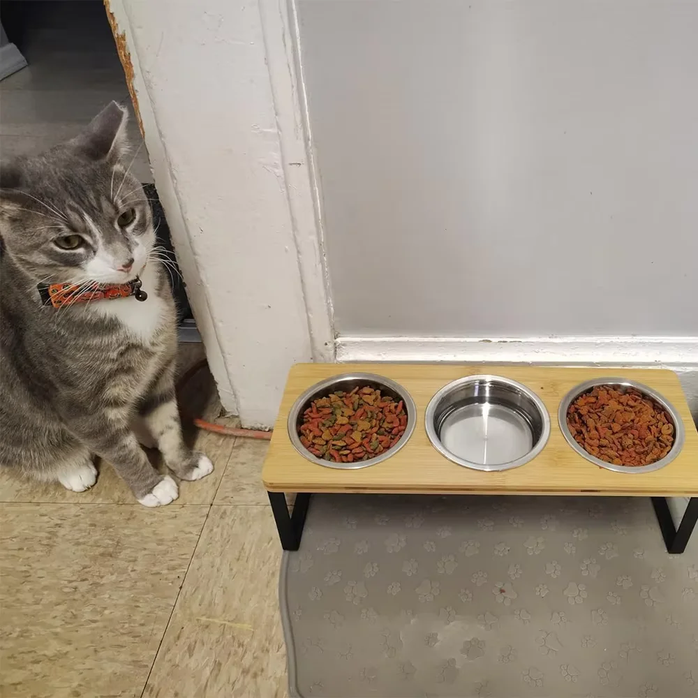 Comedero elevado para gatos con tazones de acero