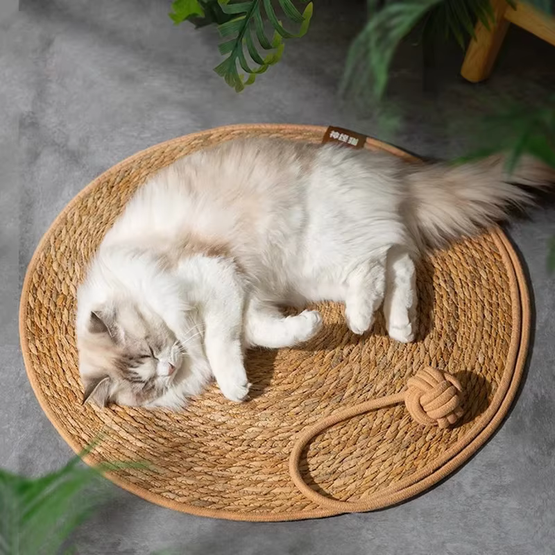 Rascador de Ratán Natural para Gatos – Protector de Muebles y Juego - imagen 5