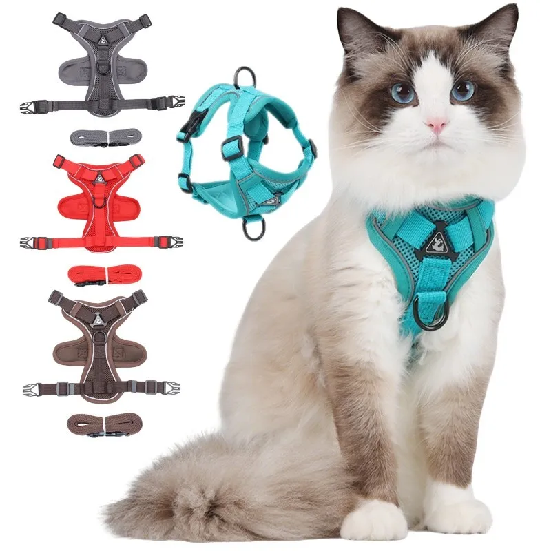 Arnés reflectante y correa para gatos – Pecho, paseo seguro - imagen 4