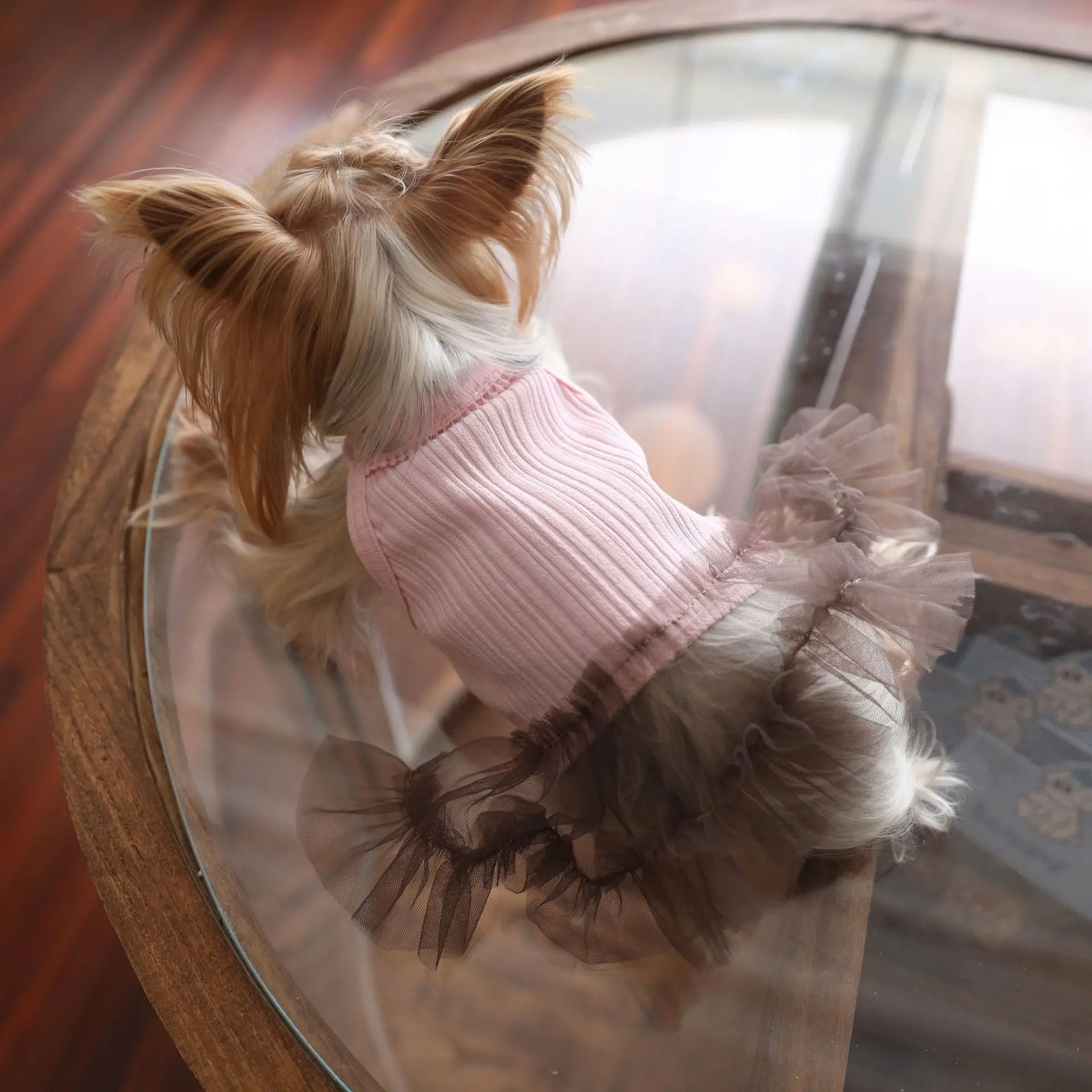 Chaleco de malla rosa para mascotas con caída tipo falda