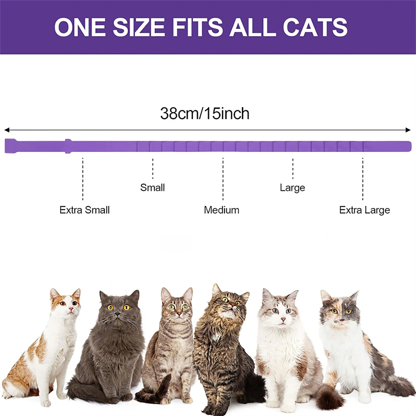 Collar relajante para gatos: alivia ansiedad y protege - imagen 5