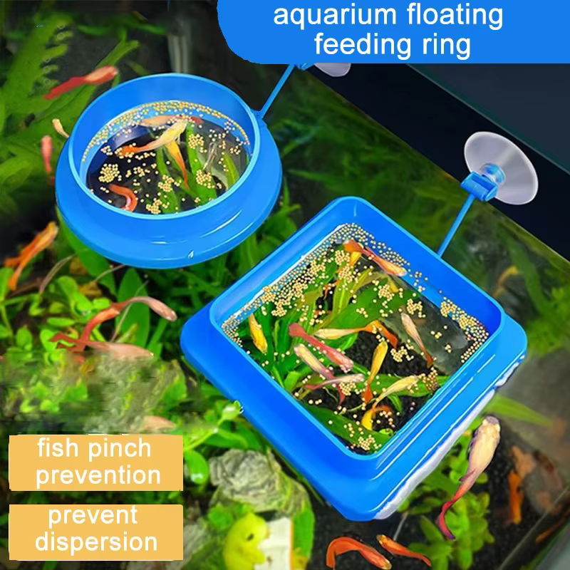 Anillo flotante comedero acuario con ventosa fija para guppys - imagen 3