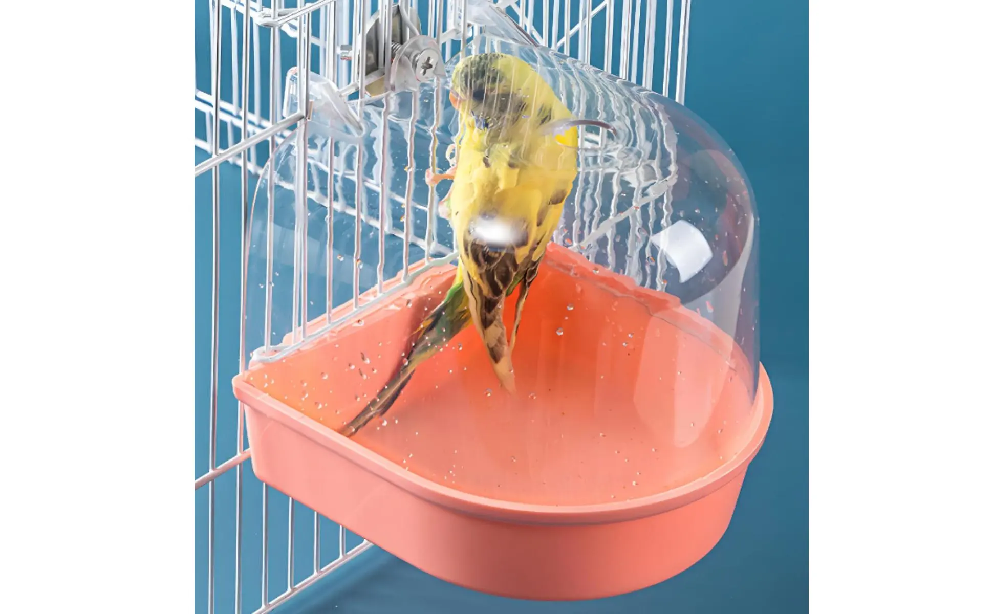 Aves bañándose - vista interior