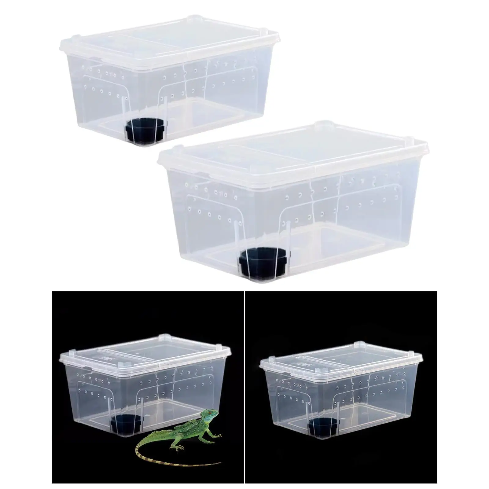 Terrario ventilado transparente para reptiles: tarántulas y lagartos - imagen 4