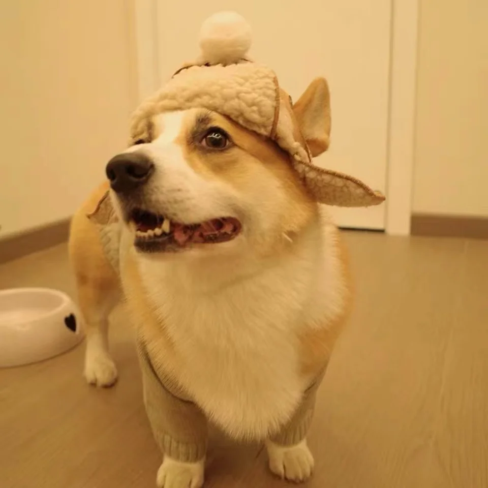 Mascota con sombrero divertido variados colores