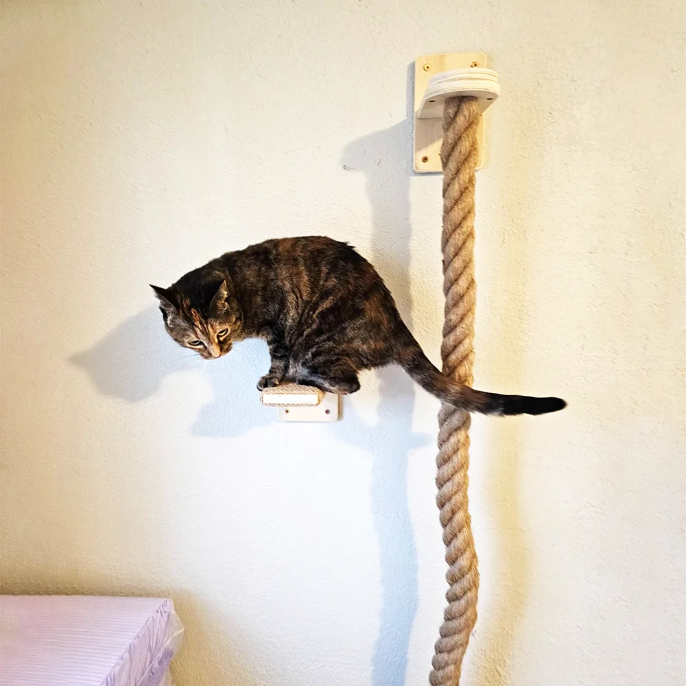 Árbol para gatos con múltiples plataformas