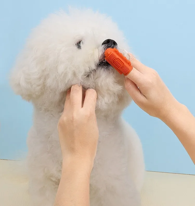 Cepillo dental para cachorros