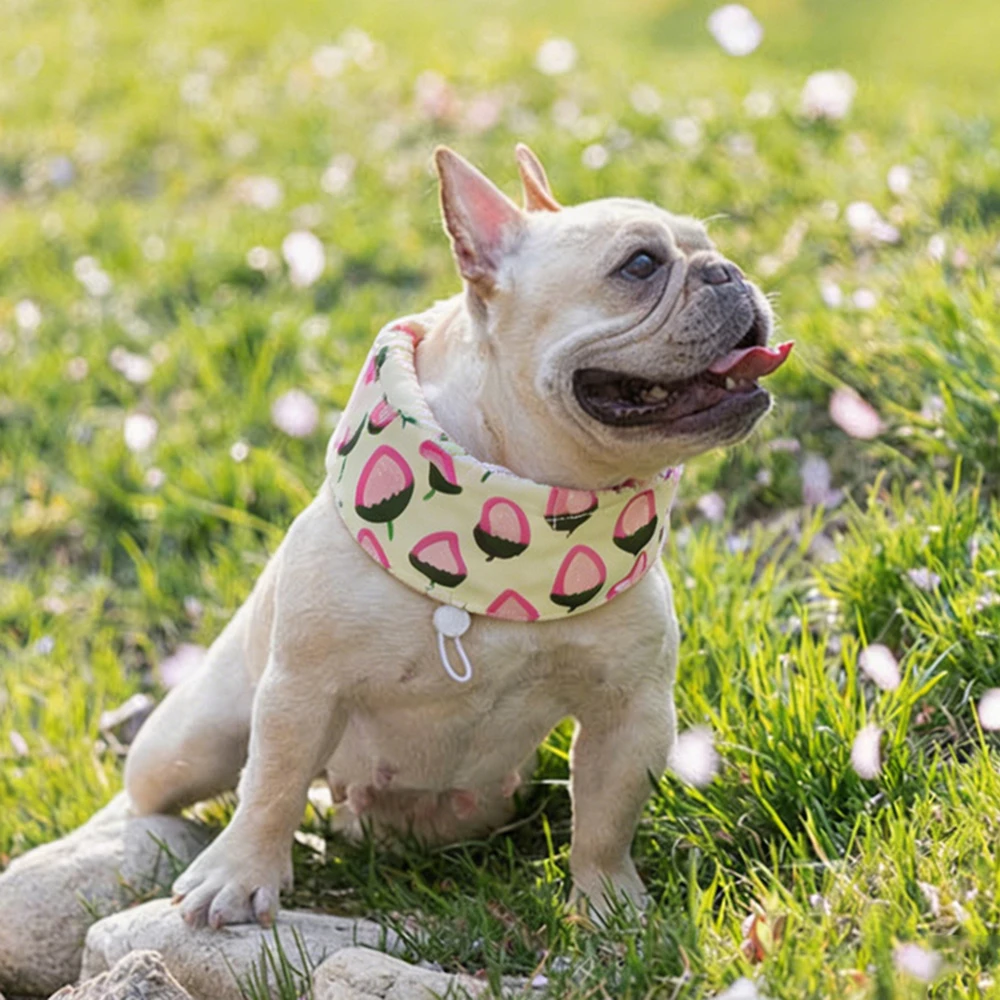 Pañuelo refrescante para perro: Bulldog francés y perros grandes - imagen 2