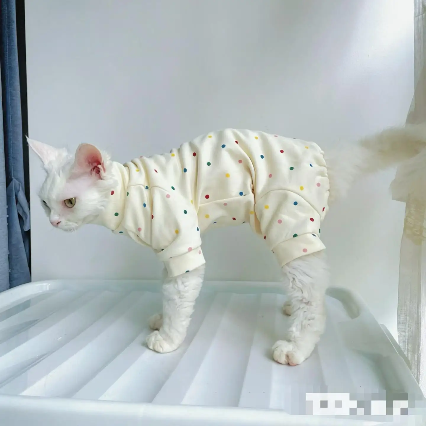 Pijama algodón 4 patas para gatos Sphynx y Devon Rex - imagen 4