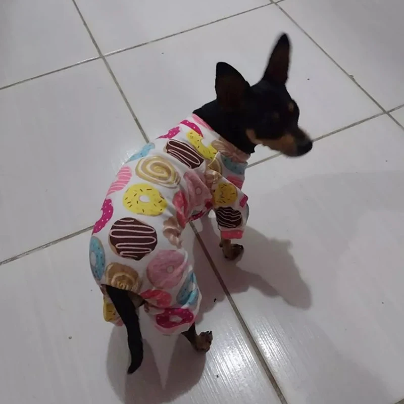 Ejemplo de talla ajustable en perro Chihuahua