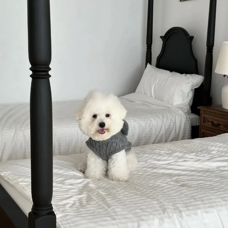 Ajuste en mascota