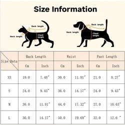 Camiseta polo deportiva para perros pequeños – Pinscher y Chihuahua