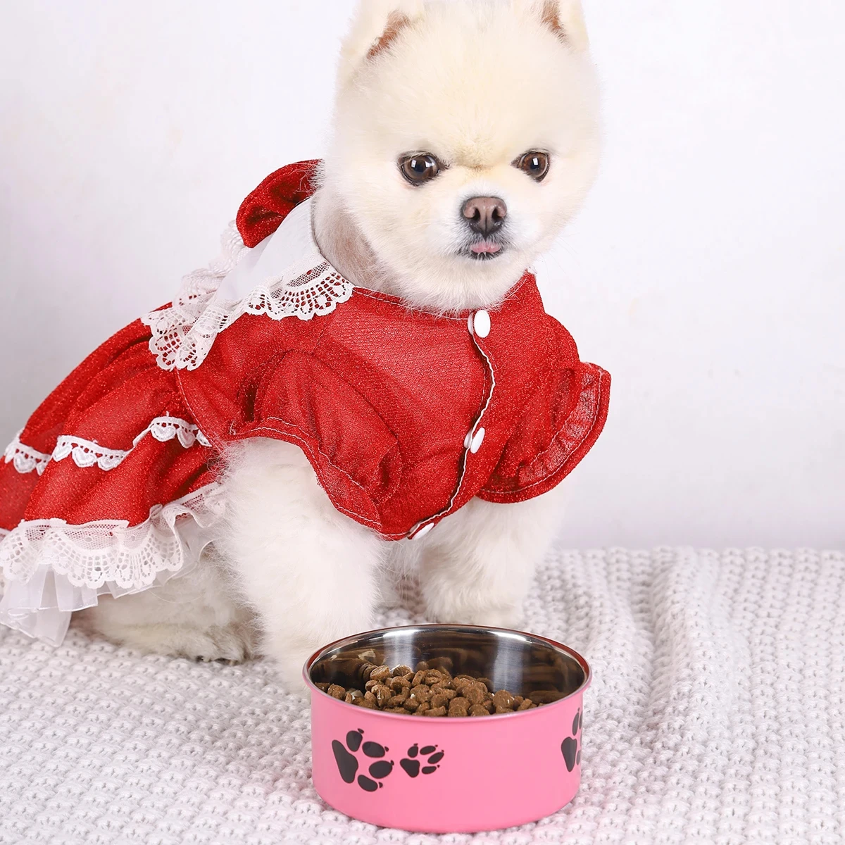 Tazón para perros de acero inoxidable con huella de dibujos - imagen 2